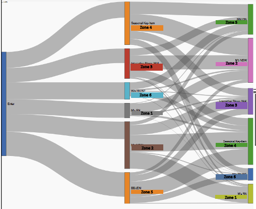Storemetrics Flow